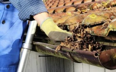 Gutter Cleaning Geelong: Why Regular Maintenance Matters?