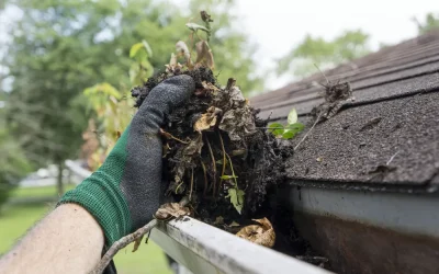 Importance of Regular Gutter Cleaning for Home Maintenance