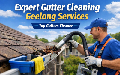 Expert Gutter Cleaning Geelong Services | Top Gutters Cleaner
