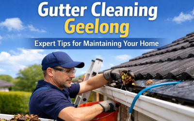 Gutter Cleaning Geelong: Expert Tips for Maintaining Your Home