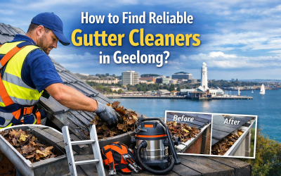 How to Find Reliable Gutter Cleaners in Geelong?