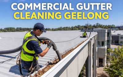 Commercial Gutter Cleaning Geelong: What Business Owners Need to Know