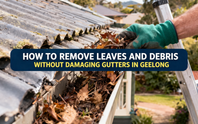 How to Remove Leaves and Debris Without Damaging Gutters in Geelong?