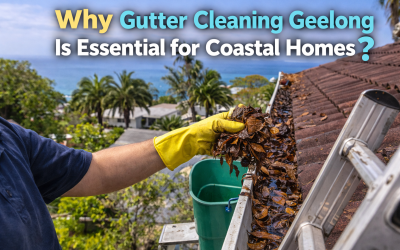 Why Roof and Gutter Cleaning Geelong Is Essential for Coastal Homes?