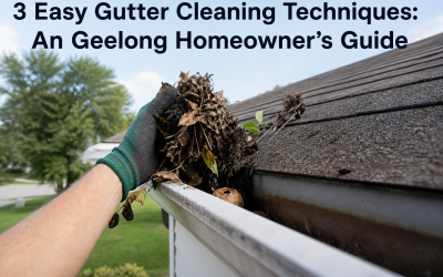 3 Easy Gutter Cleaning Techniques: An Geelong Homeowner’s Guide