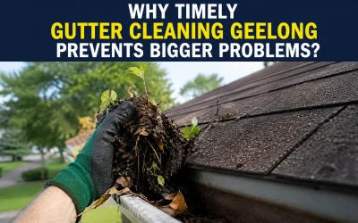 Why Timely Gutter Cleaning Geelong Prevents Bigger Problems?
