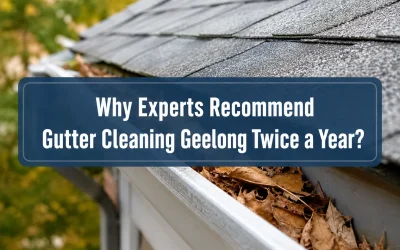 Why Experts Recommend Gutter Cleaning Geelong Twice a Year?