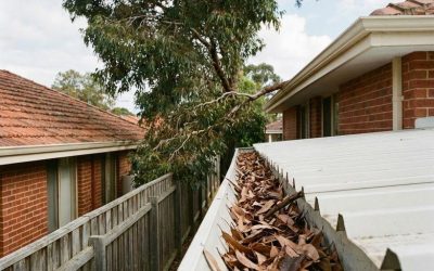 How Gum Trees Around Geelong Contribute to Gutter Blockages?